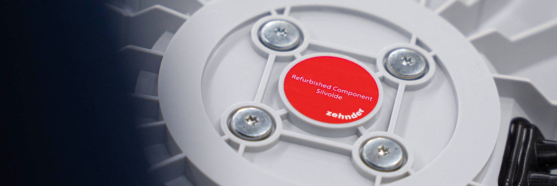 Building for future  building for the future zehnder
